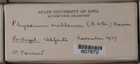 Image Associated With the Occurence